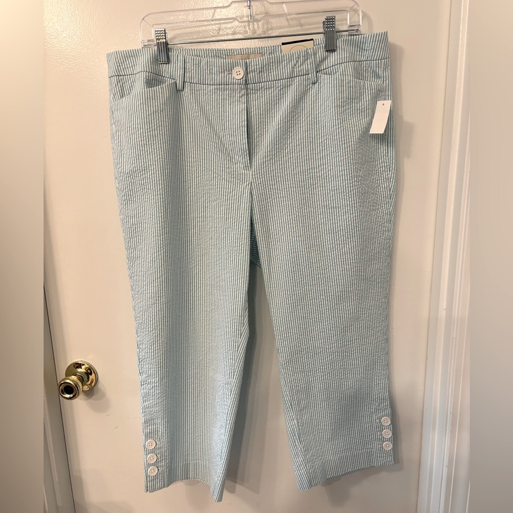 Talbots skimmer size 14p - aqua and white pinstripe NWT